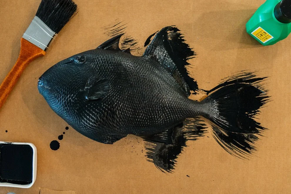 GYOTAKU-FISH-PRINTING-KIT-Iko-Prints-4.jpg