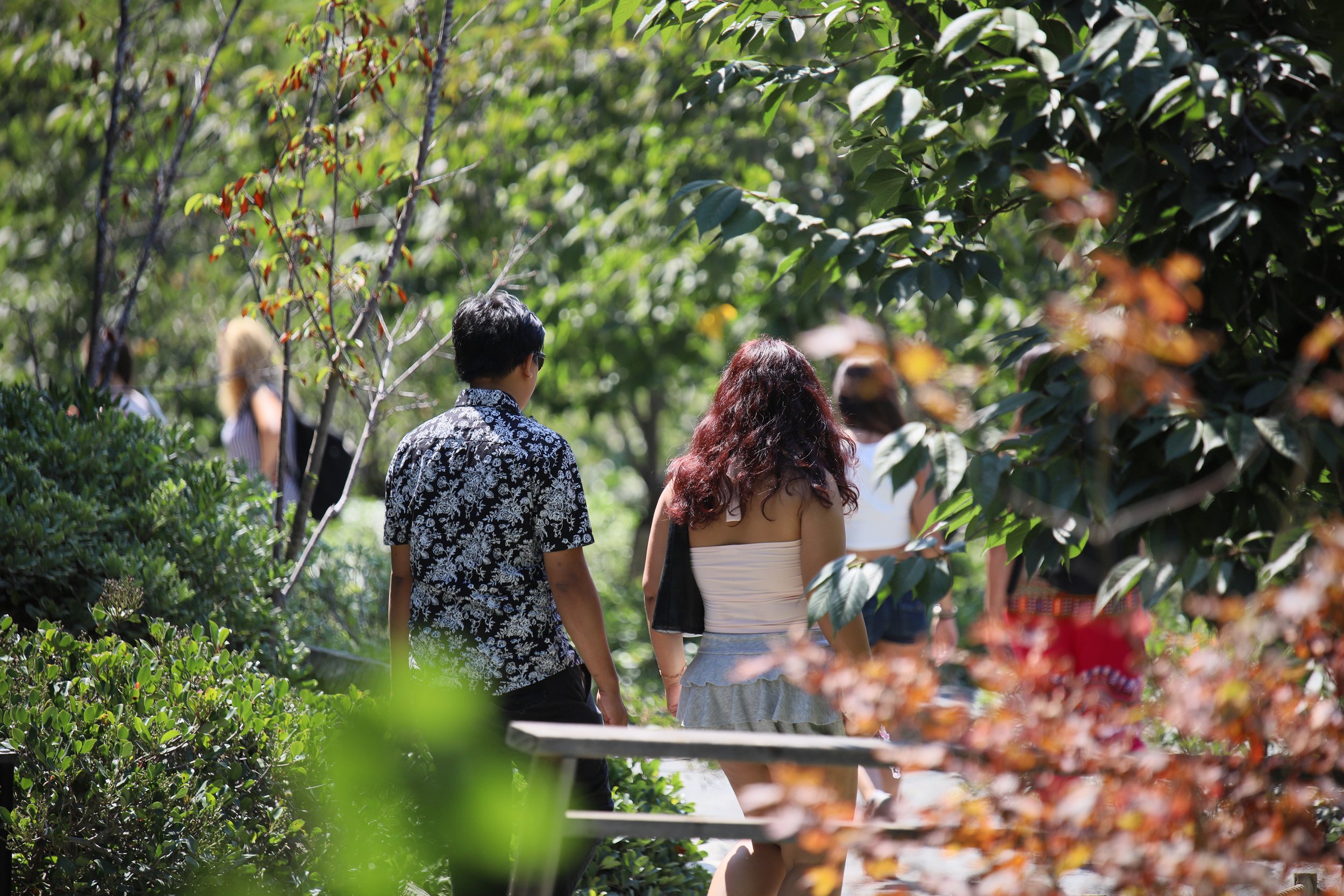 people on path under trees.JPG