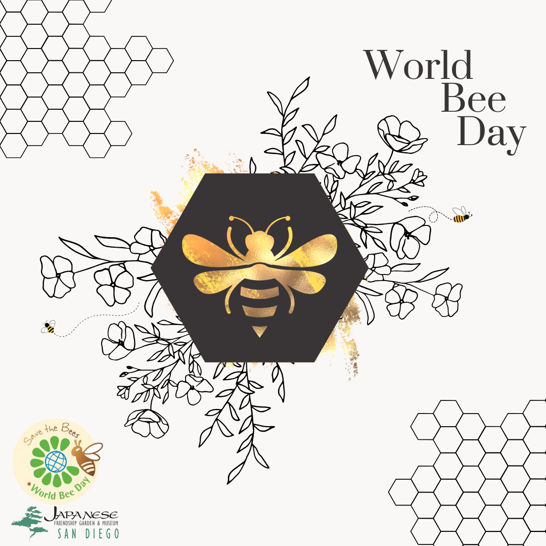 5/17 World Bee Day