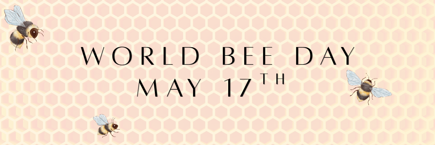 Website Front Page Banner (24).png