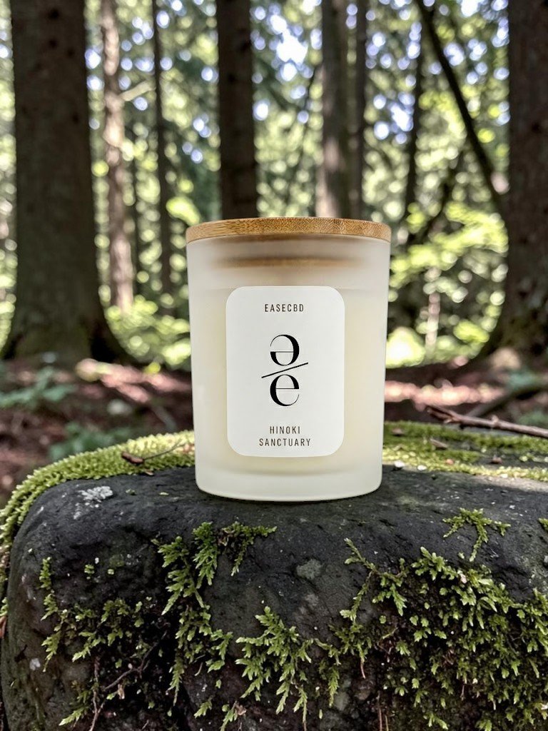 candleZenhinokiforest.jpg