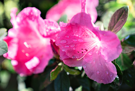Screenshot 2026-07-16 140348.png