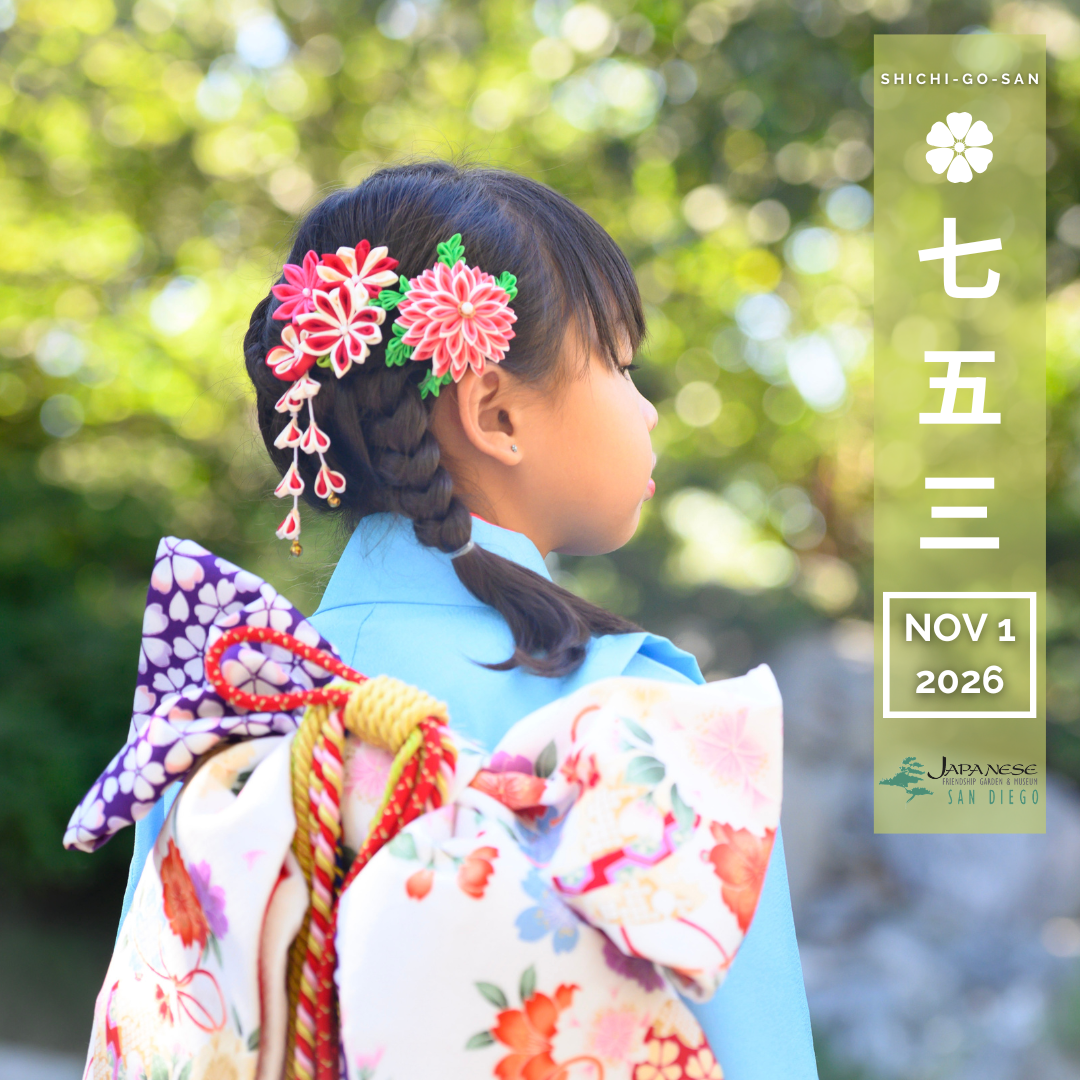 Shichi Go San 11/1