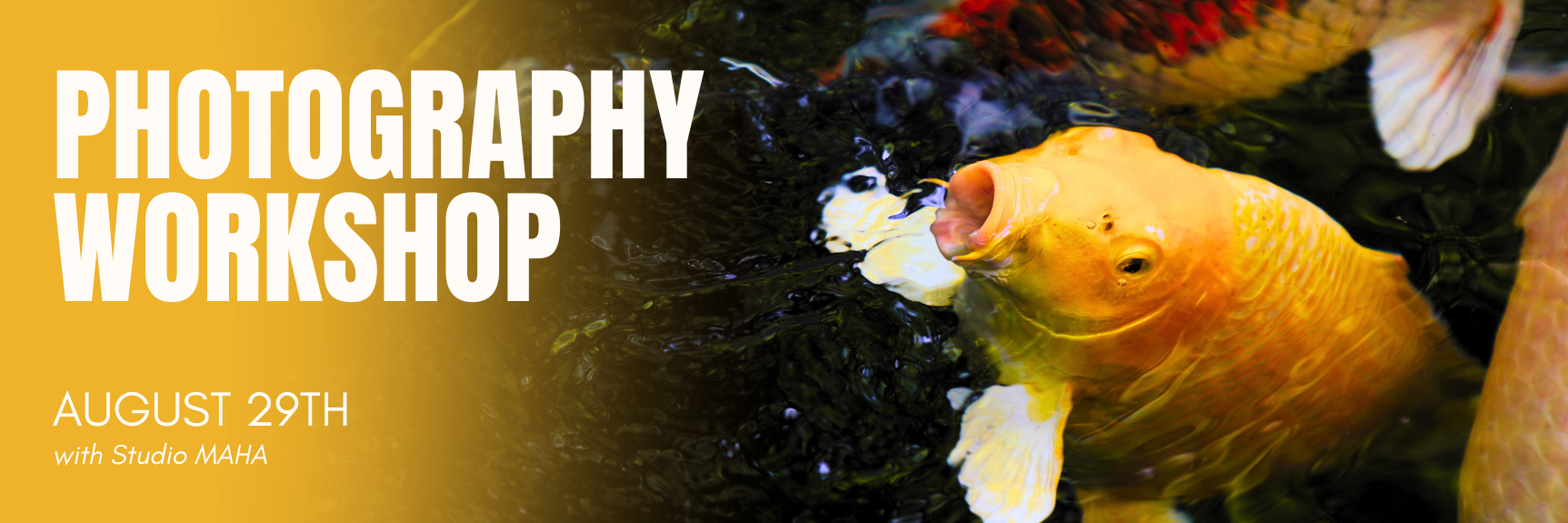 photogrpahy.png