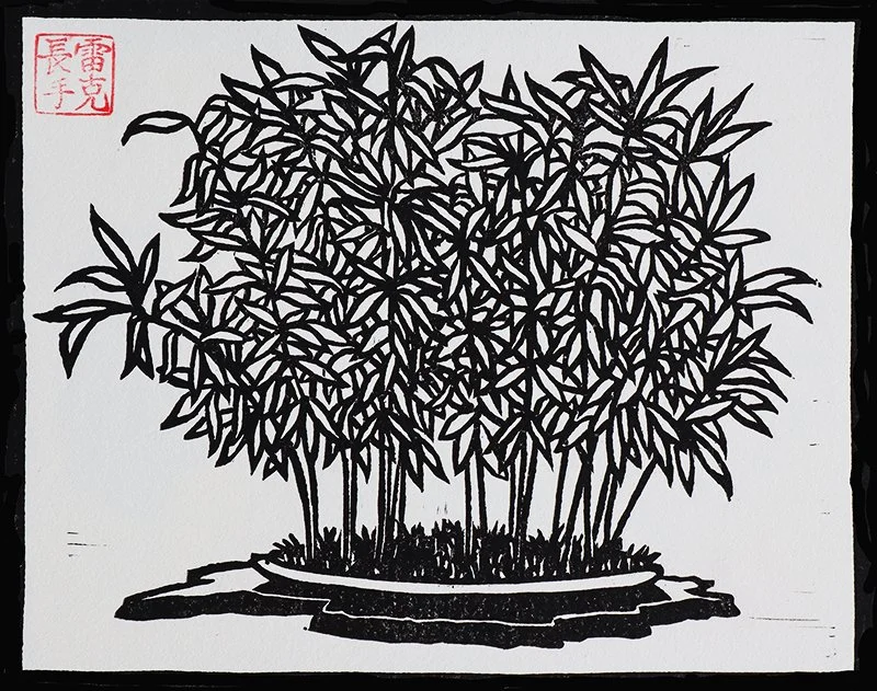 Bonsai Reimagined: An Artist's Exploration