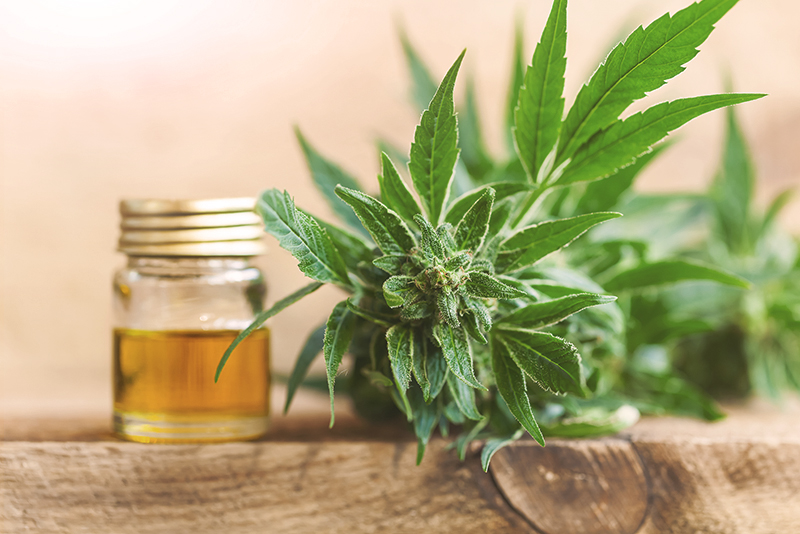 VWS Blog 2019-6-CBD Explained-What it is and how it can be used.jpg