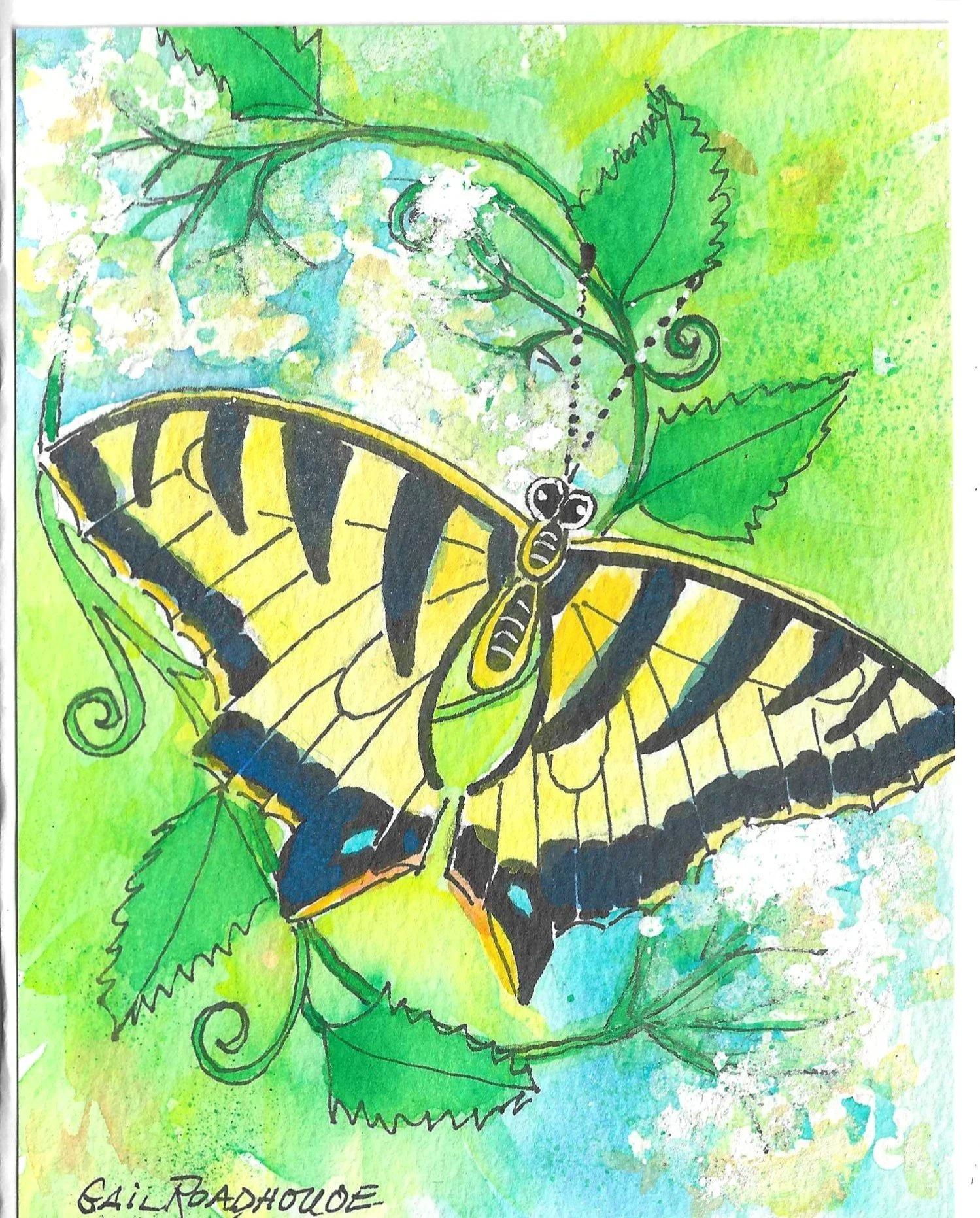 Western Tiger Swallowtail brf 5x7 wc.jpg