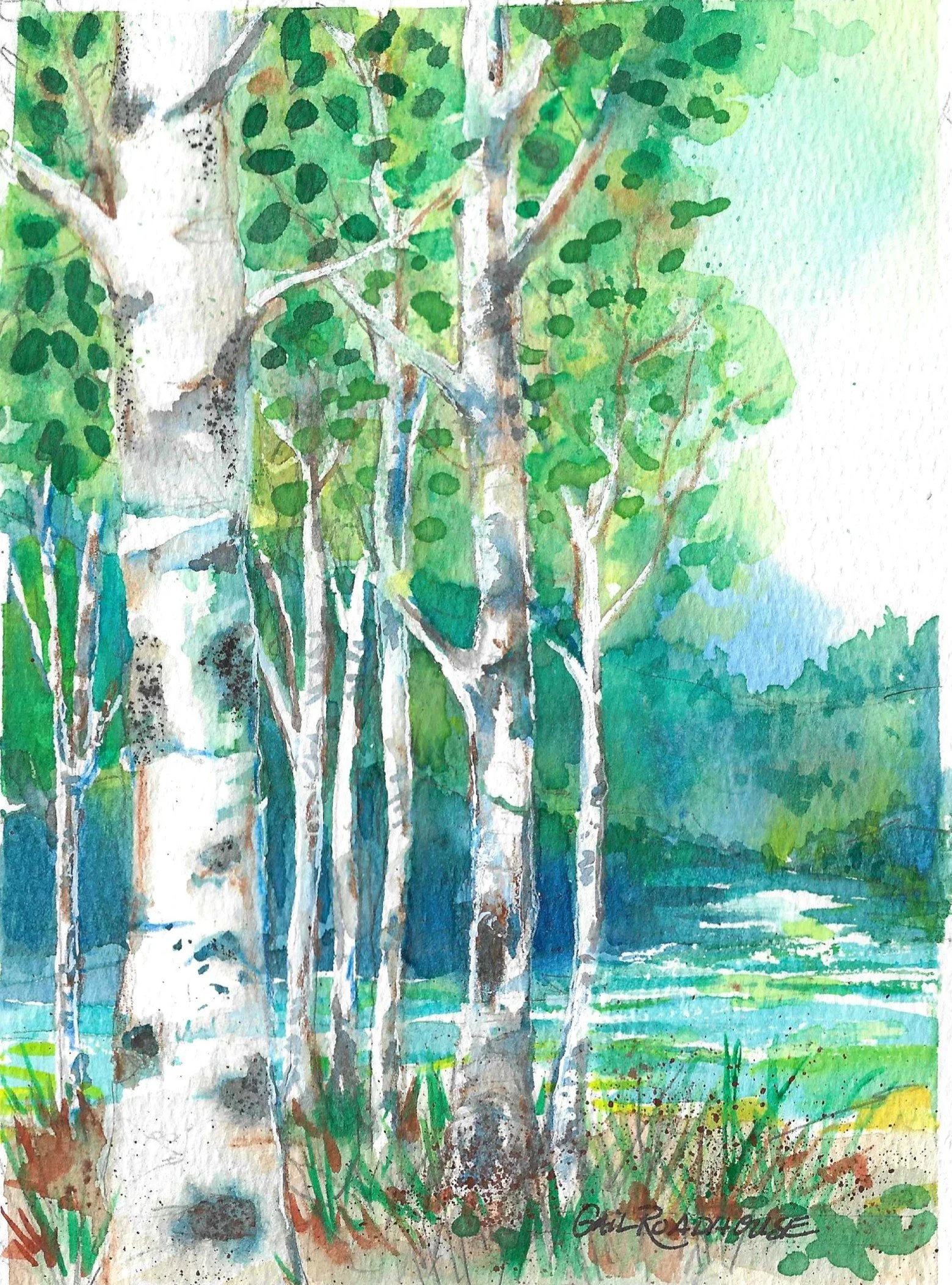 Birch Tree wc 5x7 .jpg