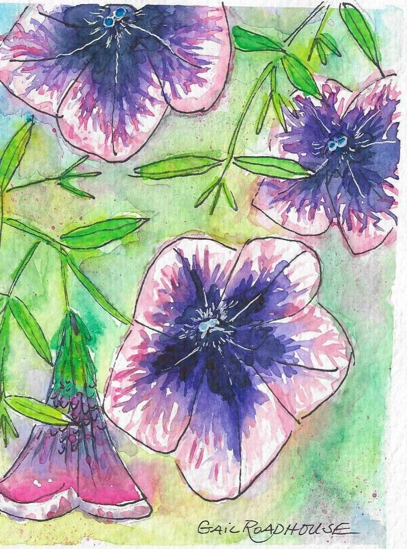 Purple Passion Petunia 5x7 wc 2026.jpg