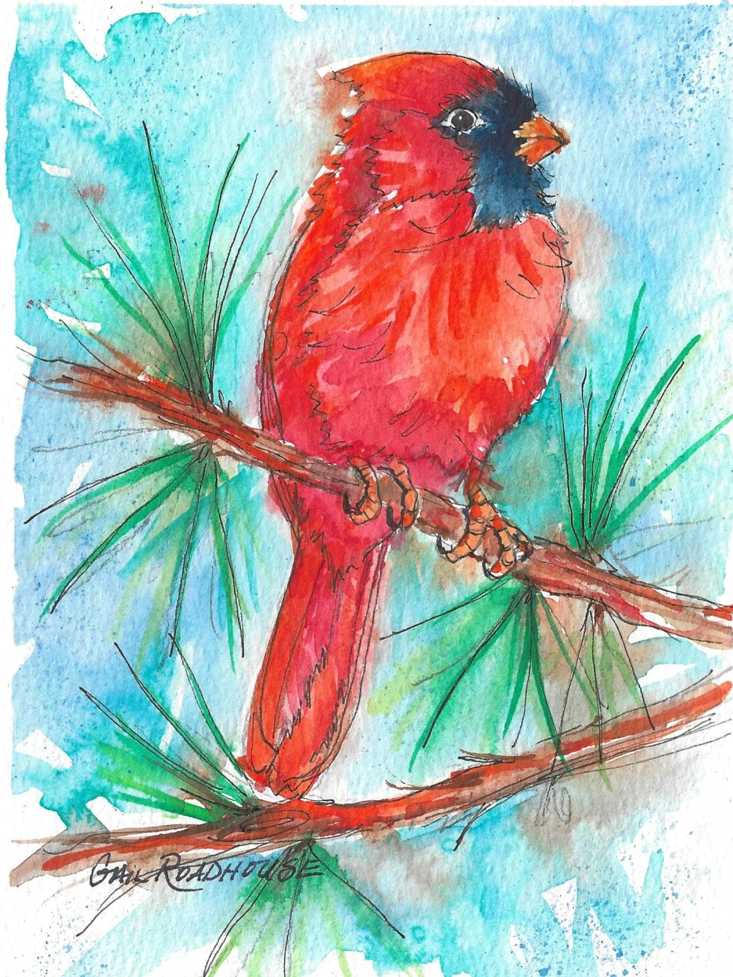 Norhtern Cardinal 5x7 wc blue.jpg
