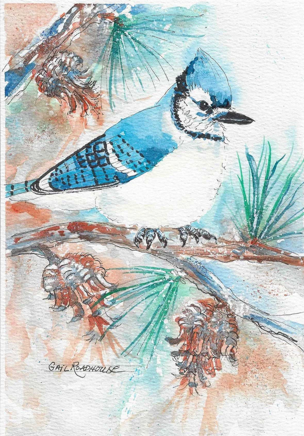 Blue Jay 5x7 wc 2026.jpg