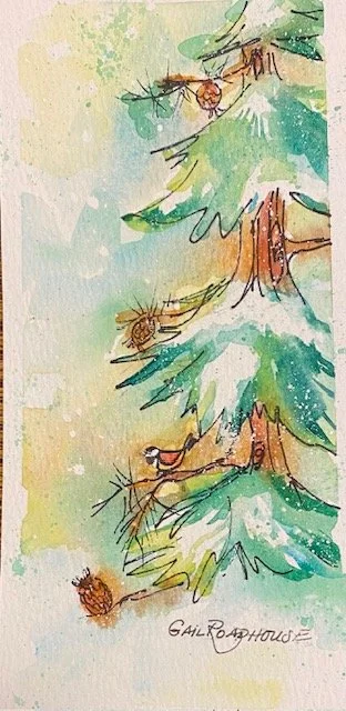 Pine w blak cap wc.jpg