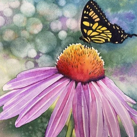 Coneflower Watercolor with Suzi Vitulli