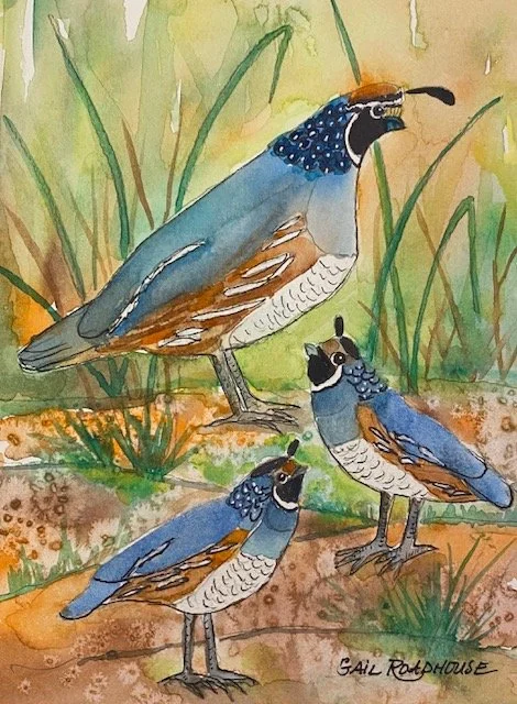 Quail Family 5x7 wc 2026.jpg