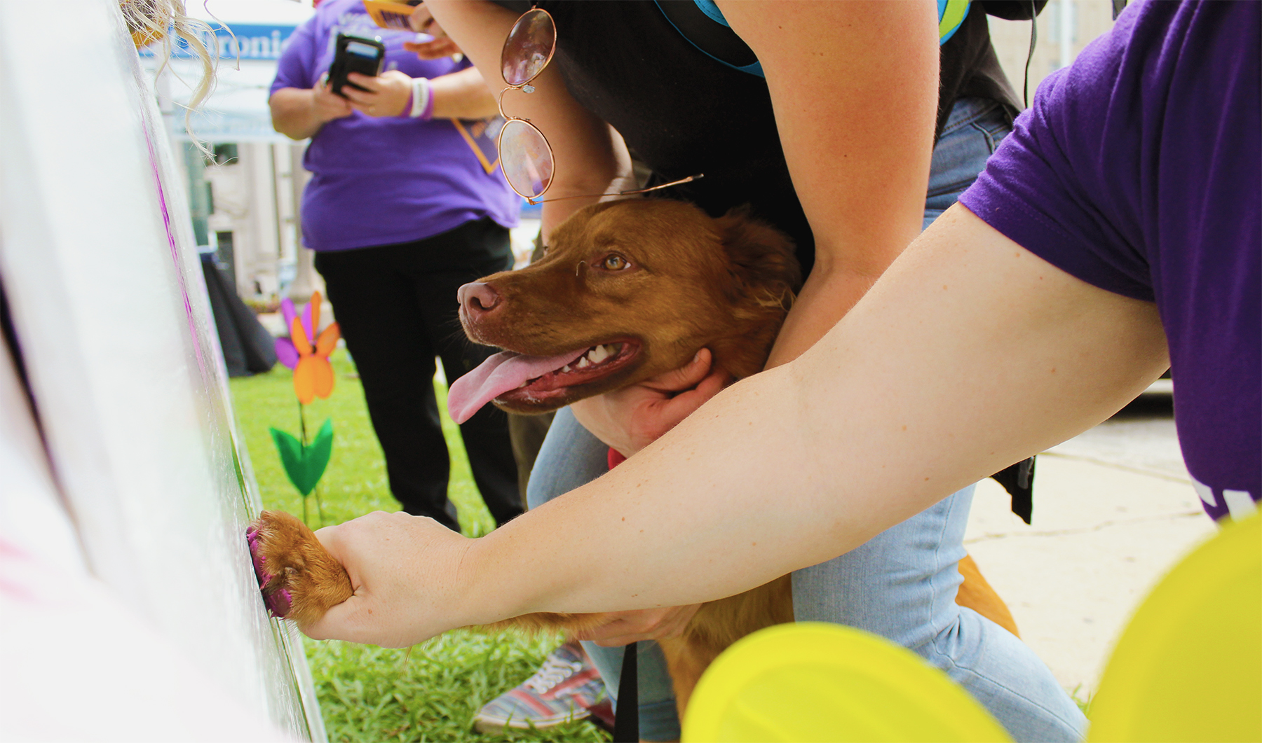 Rooni adding her paw to the Represent Denton board! 