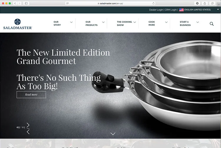 dssuite_enterprise_website_2.jpg
