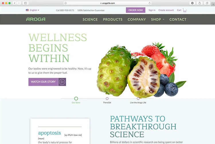dssuite_website_2.jpg