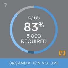 Example Volume Widget