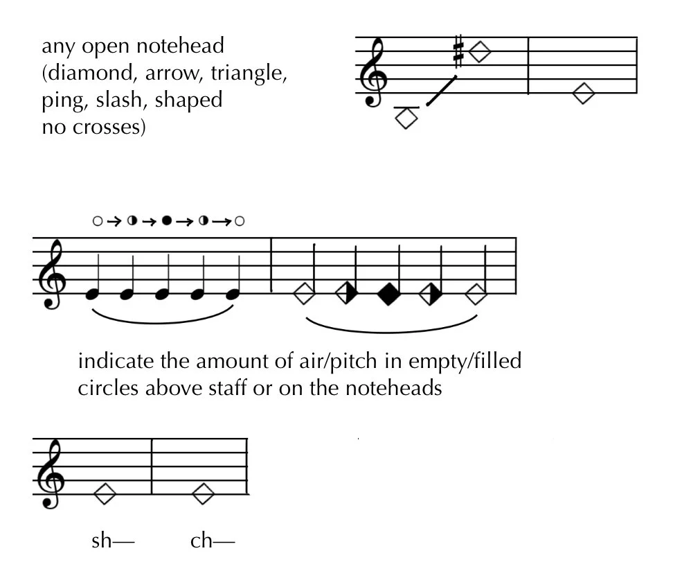 Flute Extended Techniques — RACHEL BEETZ