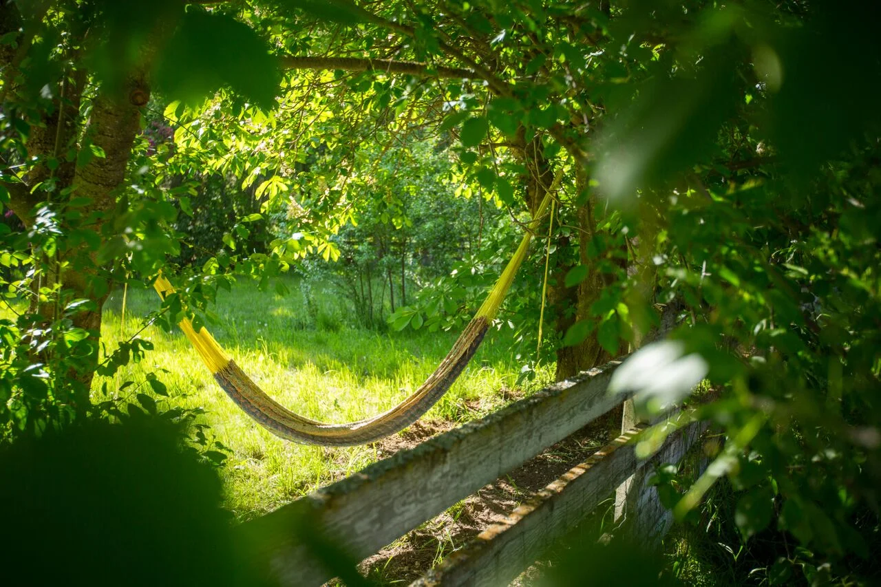 hammock 1.jpg
