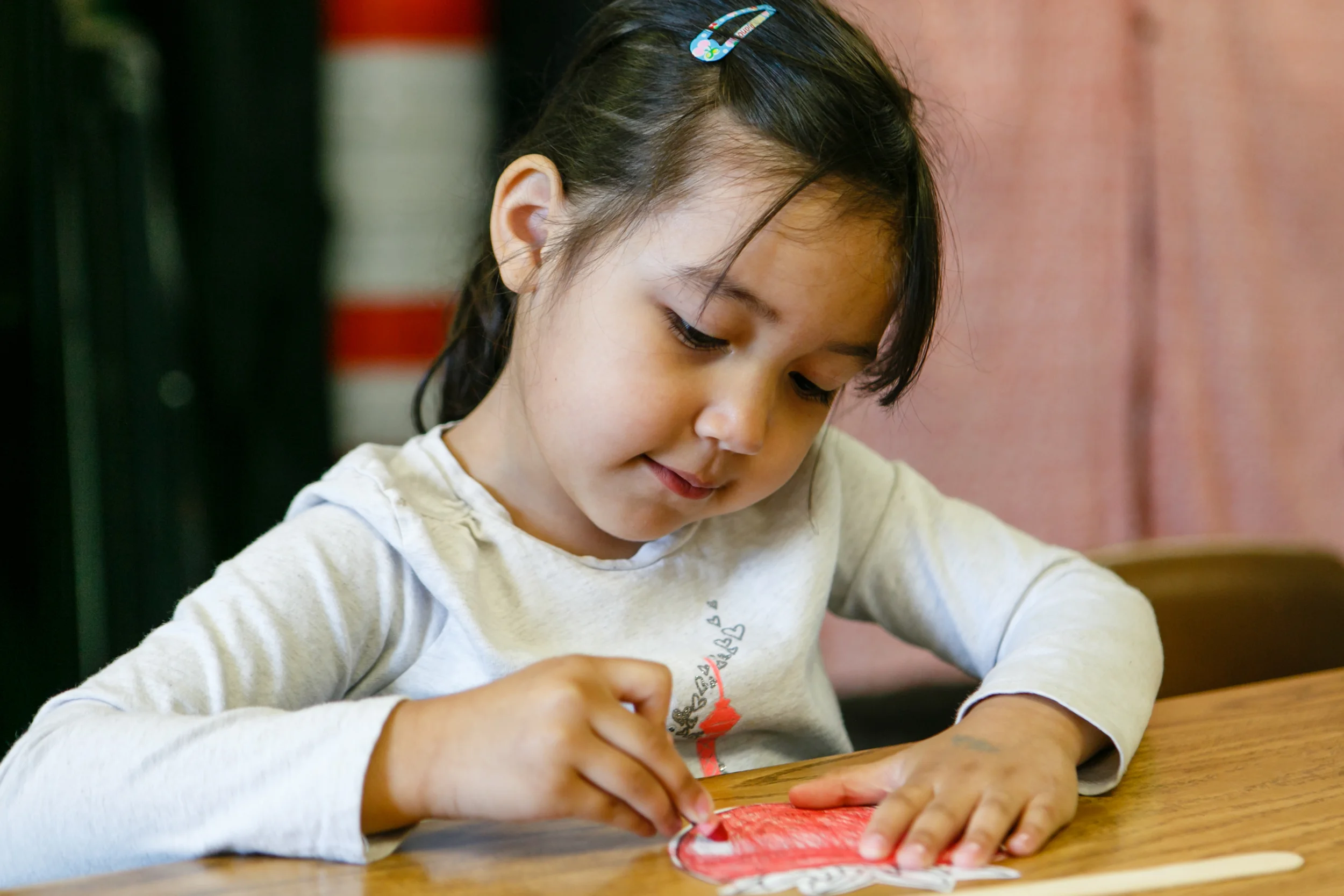 Community Education Worker Project