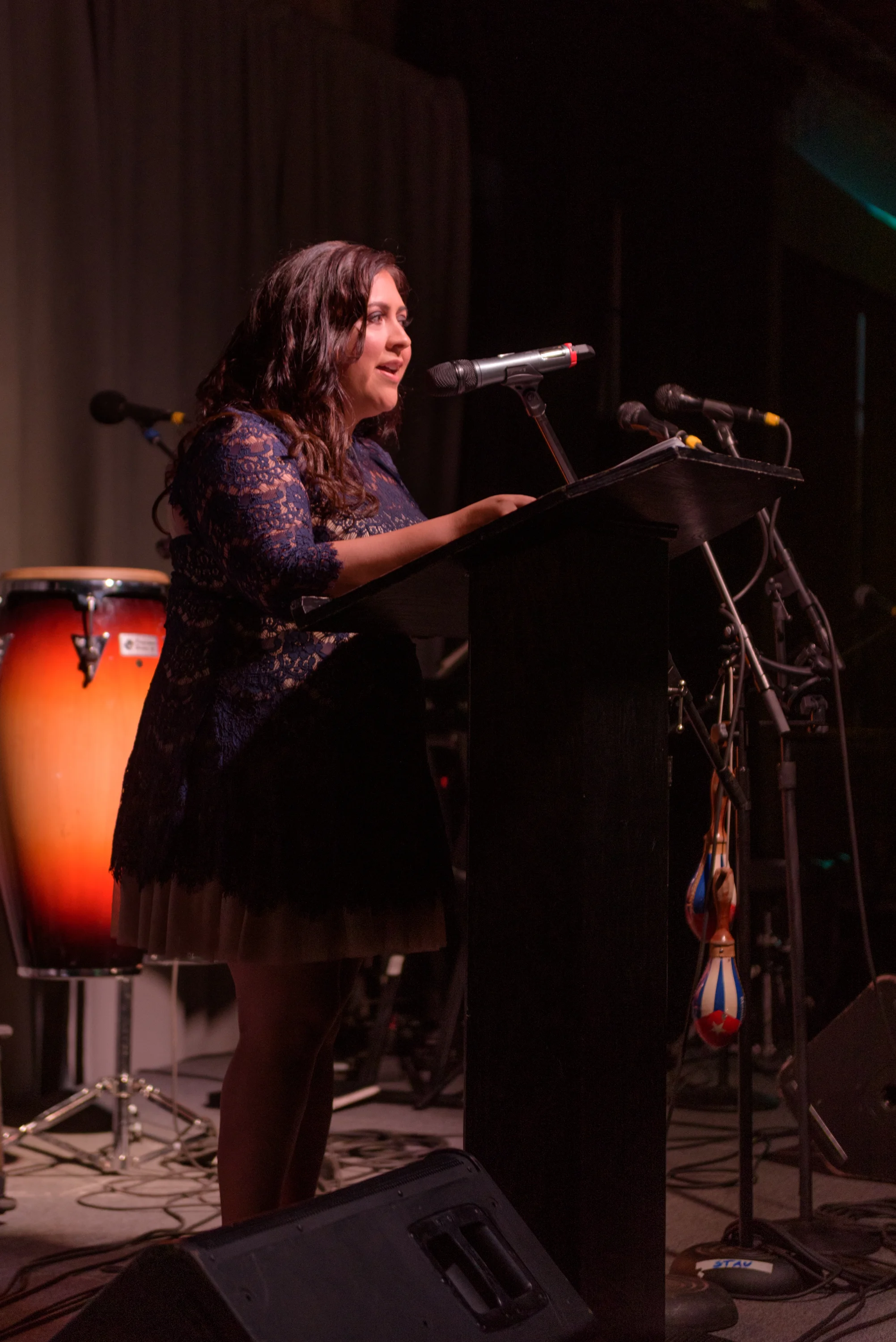 Executive Director Carmen Rubio spoke of the positive growth and transformation of the Latino community at Noche Bella. 