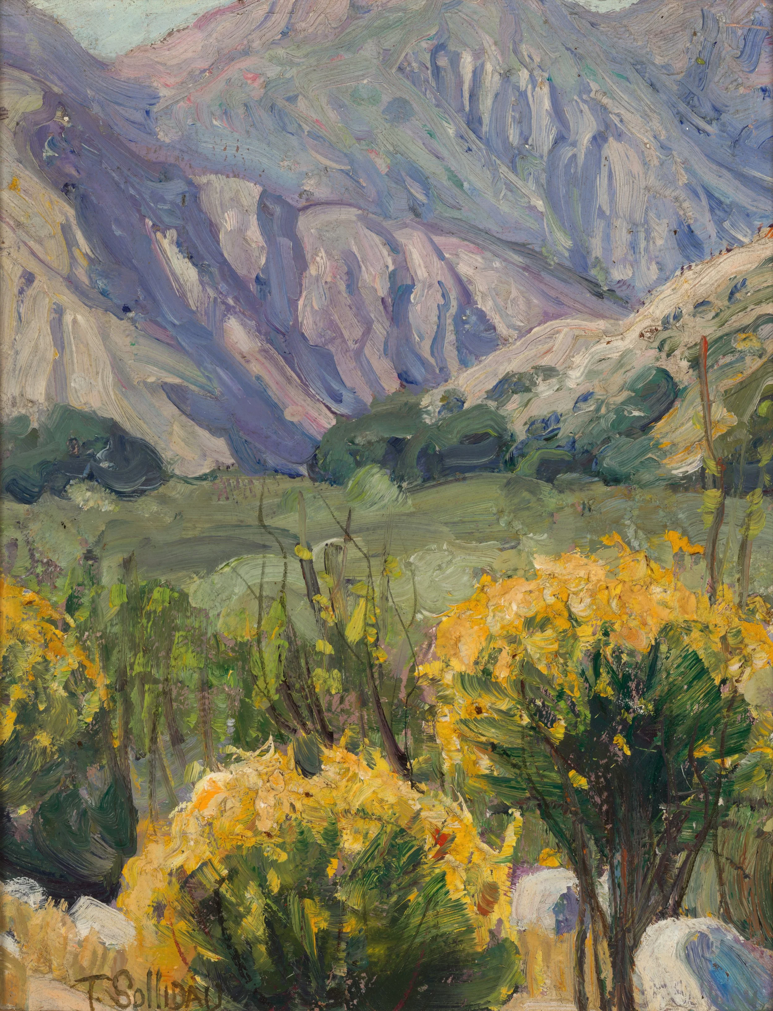 Tim Solliday "The Tangled Hills" 12"x9" Oil