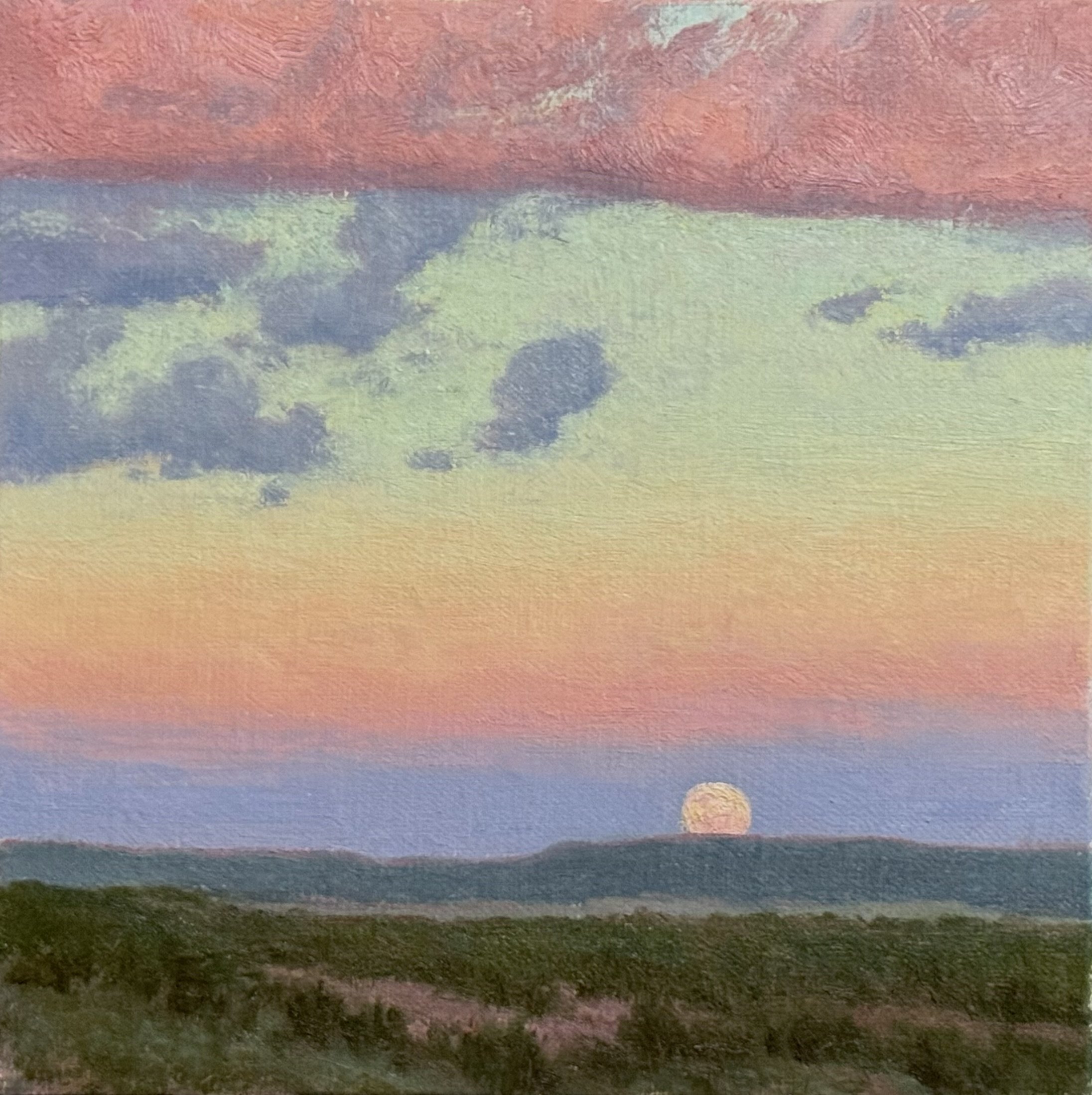 image1 (29).jpeg
