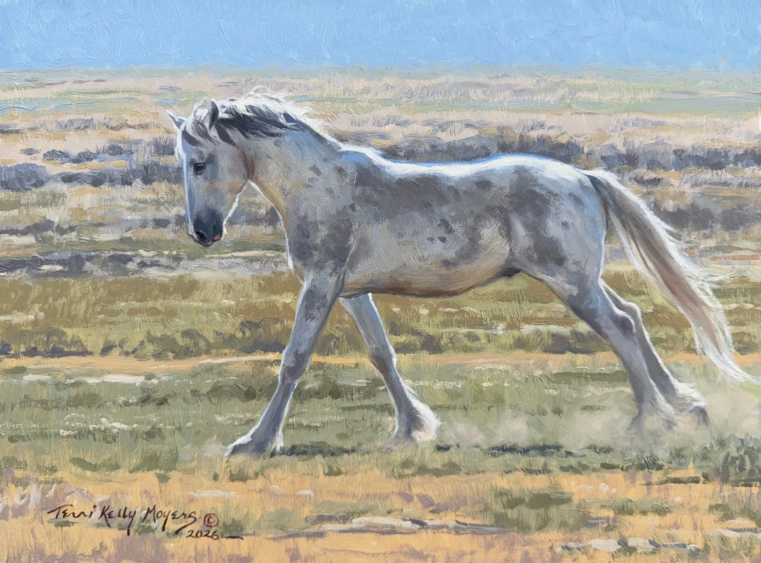 Moyers, Terri - Freedom_Terri Kelly Moyers_Oil_12x16_7500.jpeg