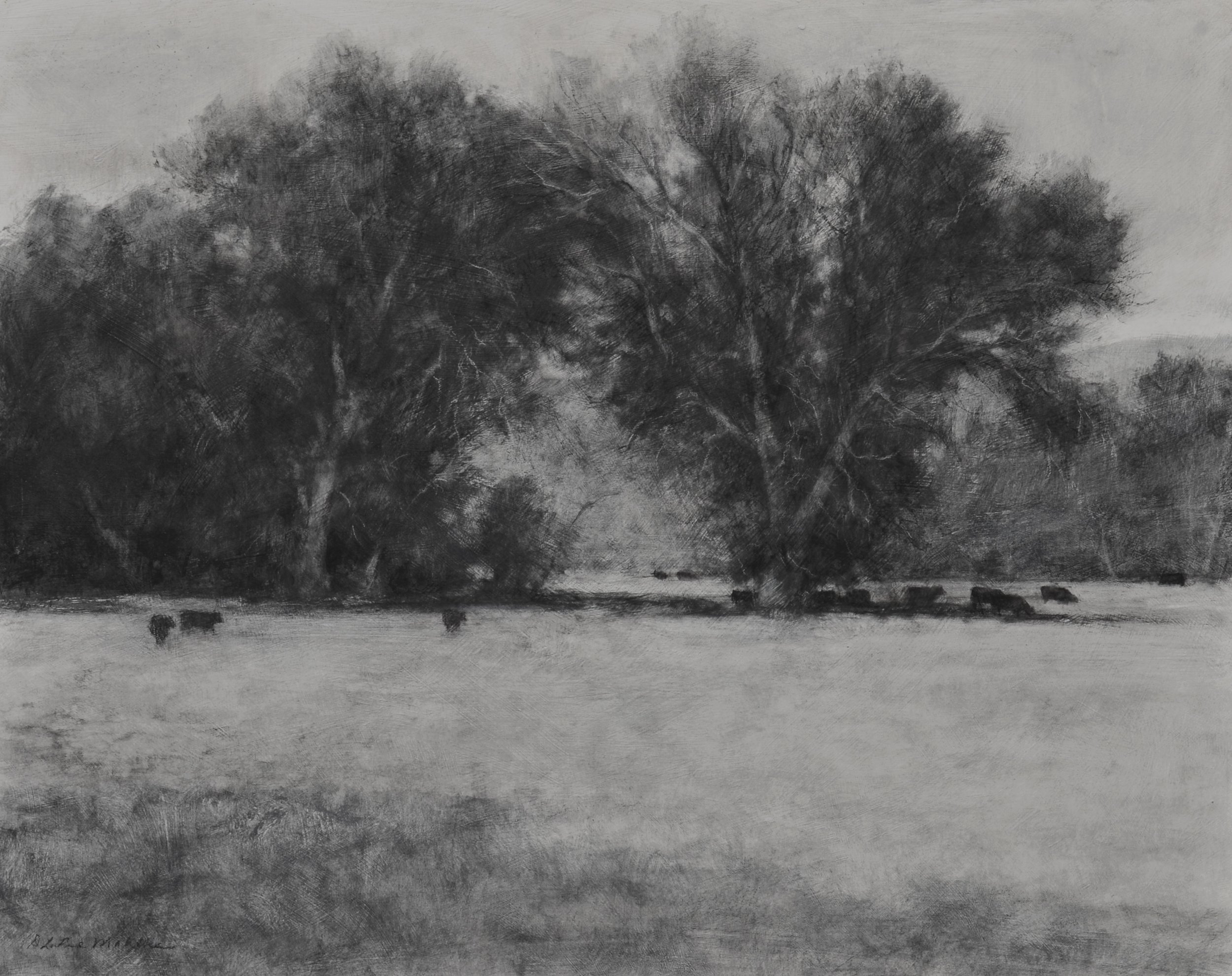 Mahlke, D. LaRue_Shady Gathering_16x20 charcoal 3200.jpg