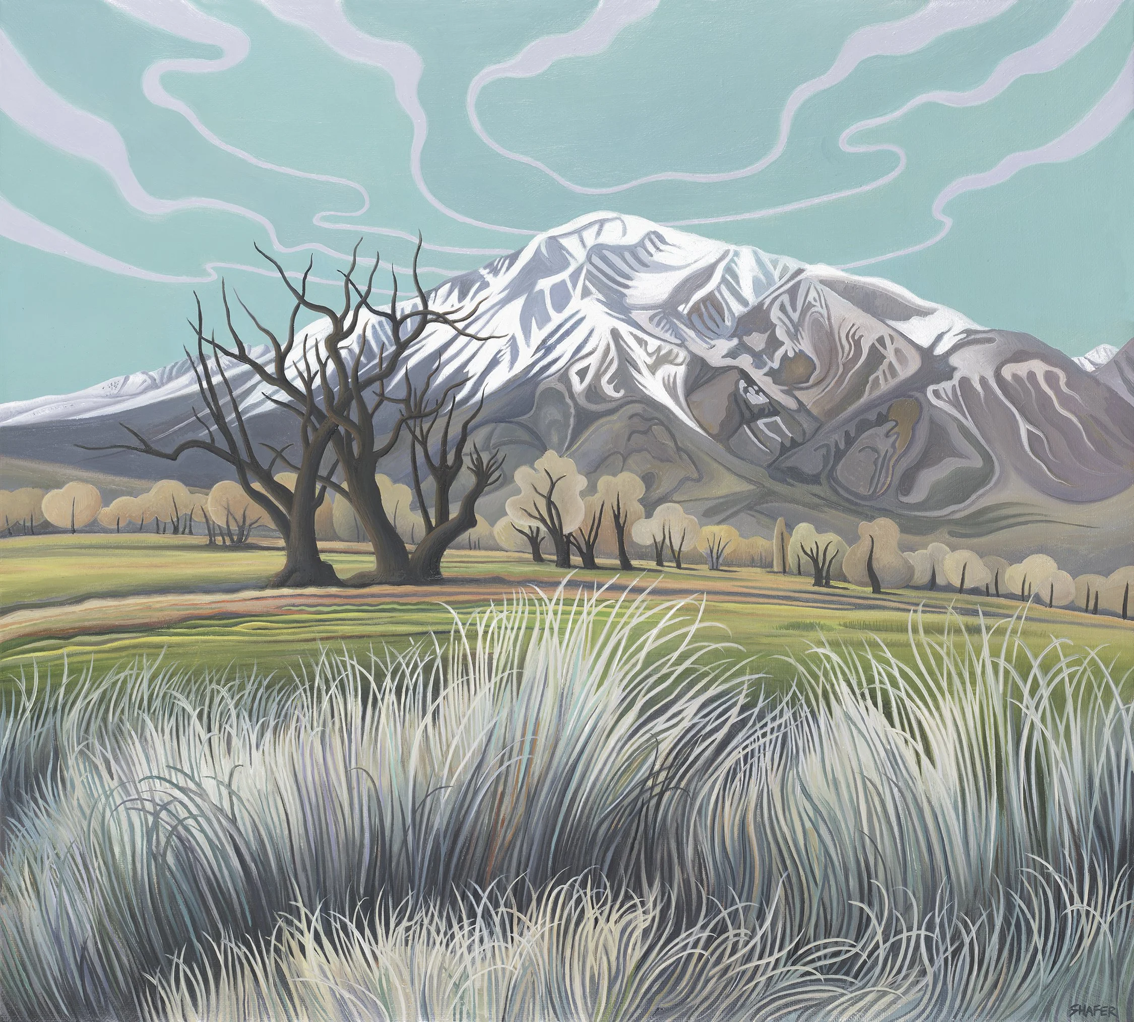 Shafer, Phyllis - EarlySpring, 2026, 18” x 20”, oil on linen $9,800.jpg