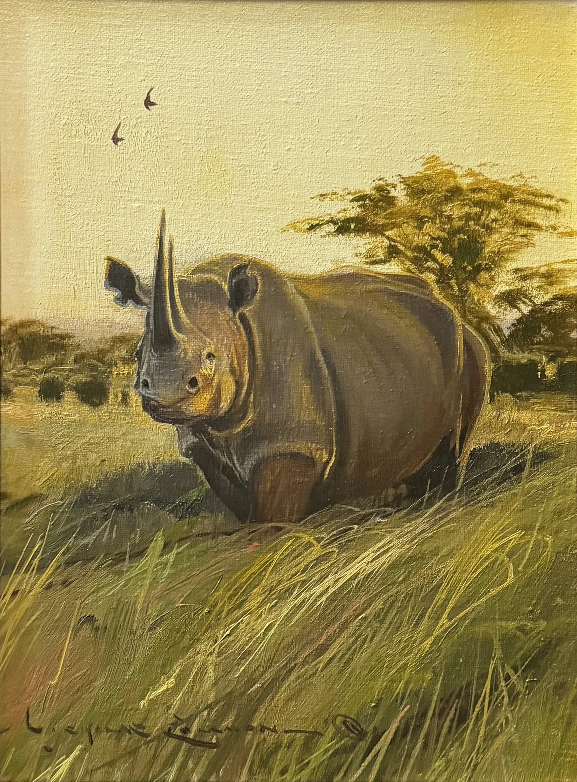 Coleman, Nicholas - Golden Days in Lewa, Kenya. (Black Rhino) - 12x9 - 3500.jpg