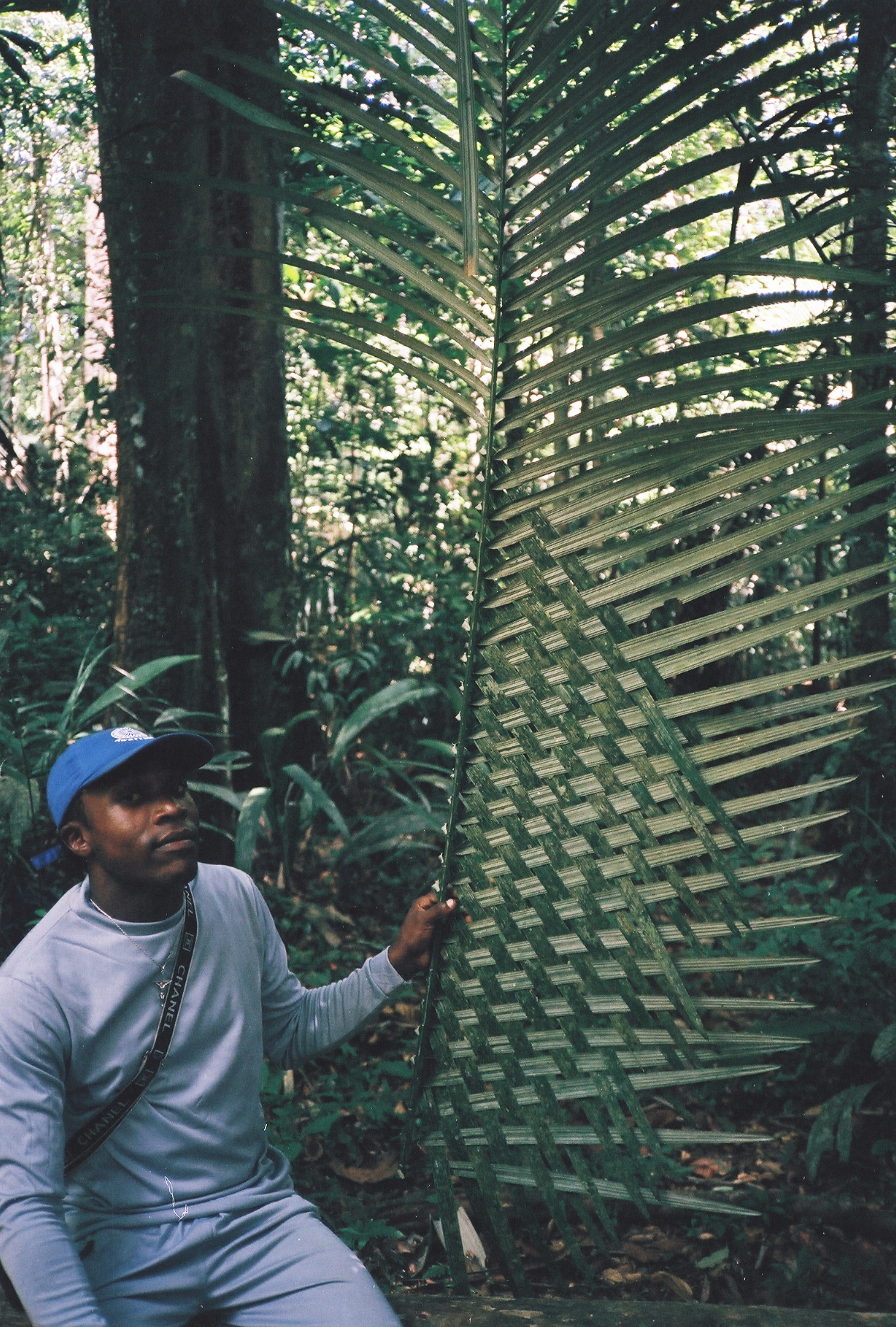 Jungle Weaver.jpg