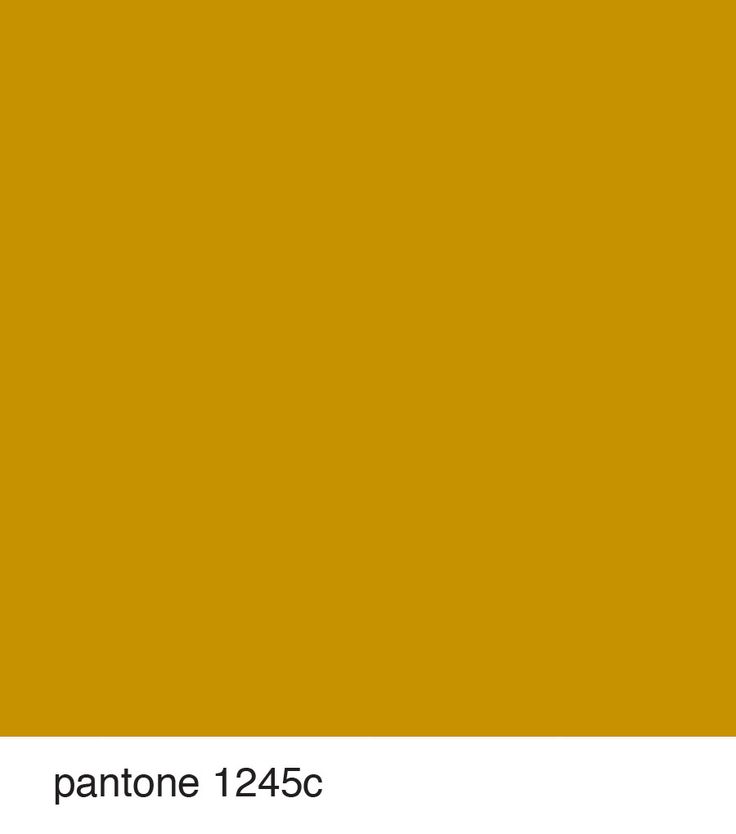 9332fe6401871d9991ef64b7e5a8752d.jpg