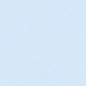 s-l300.jpg