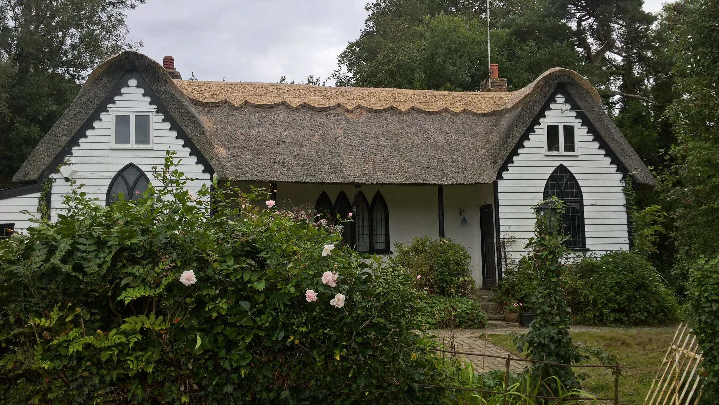 An older thatched roof in East Sussex after we've completed a re-ridge, de-moss, dress and covering of protective wire.