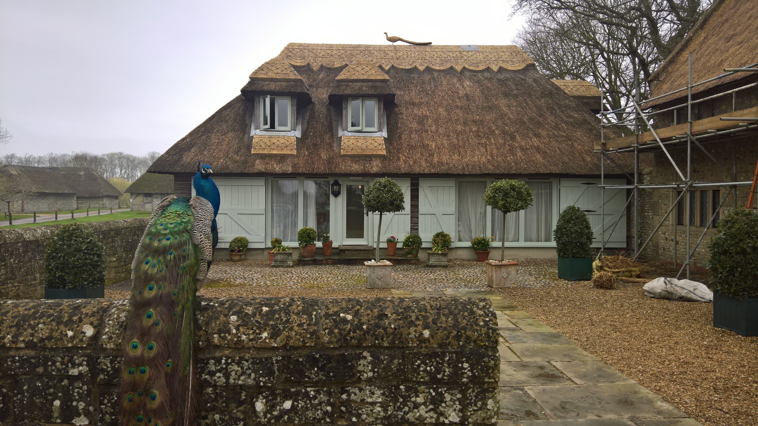 Thatched Cottage in West Sussex