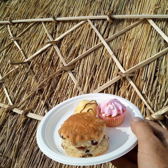 Giving your thatchers cake is always the best way to ensure a top quality job😂 #cakeontheroof#thatching