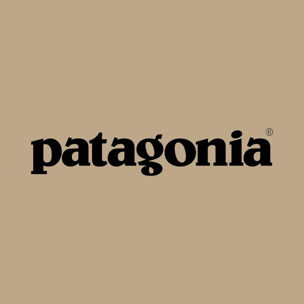 outdoor logos_0014_Patagonia.jpg
