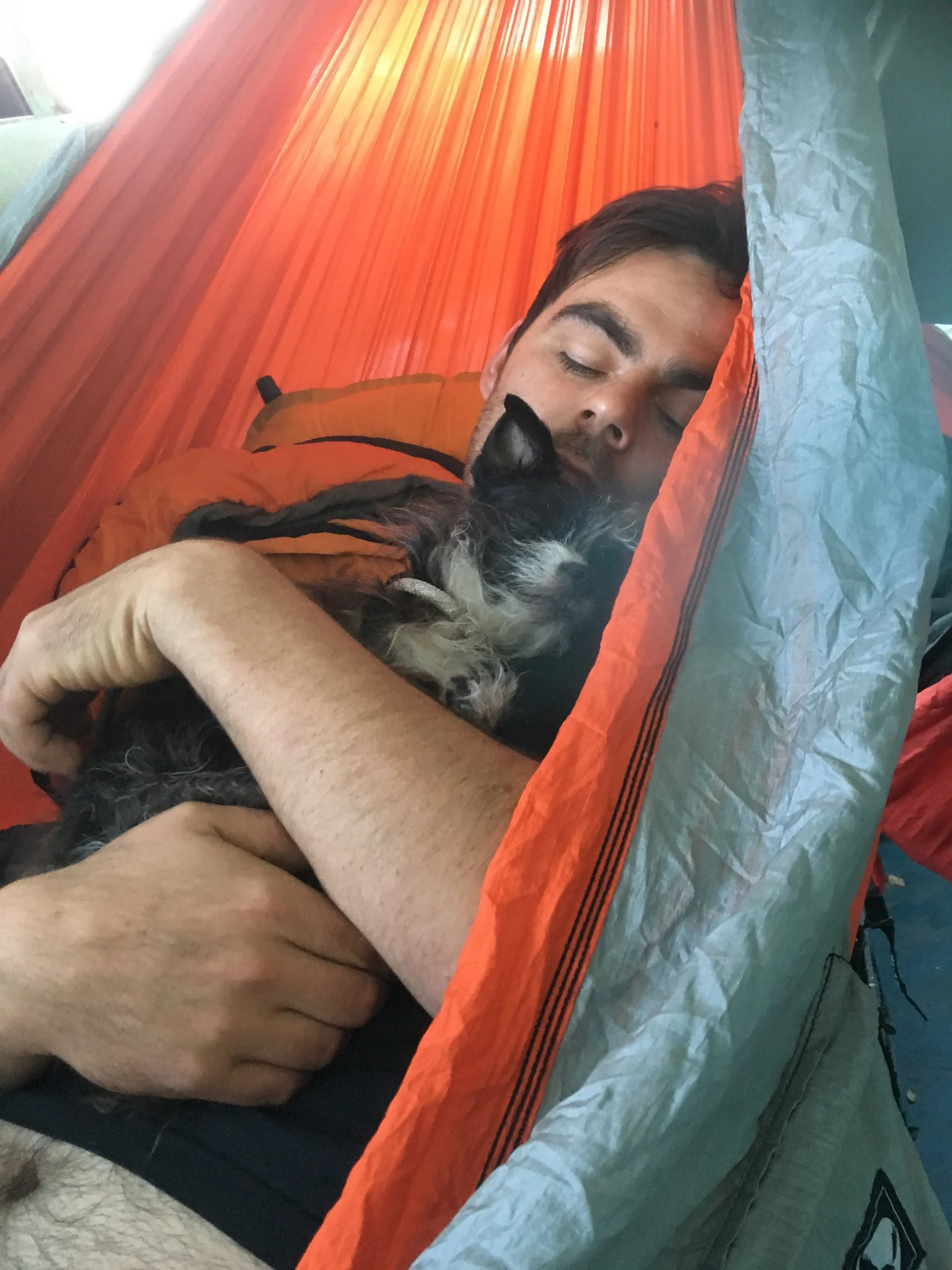 Pancho and Wolfgang, the morning after