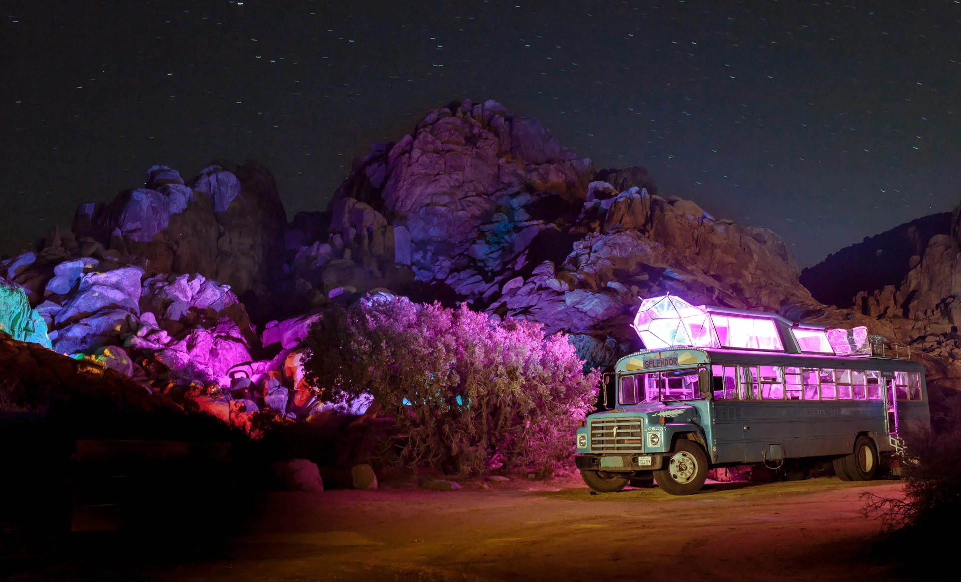 Lights & Photo by Whitney Freedman