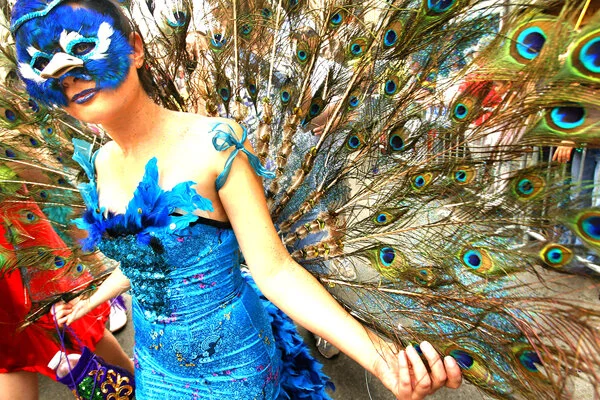 Peacock.jpg