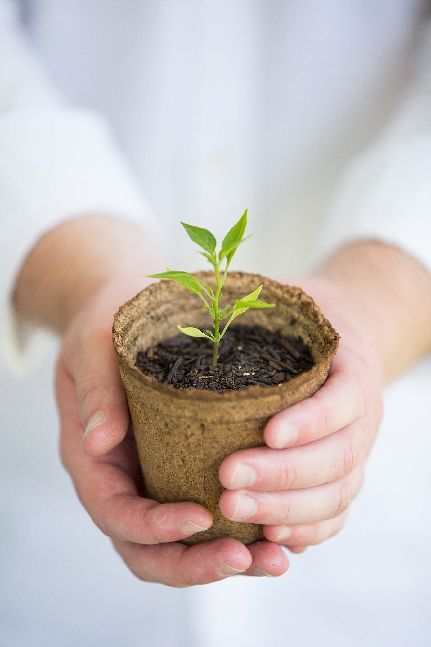 Learning & Growth