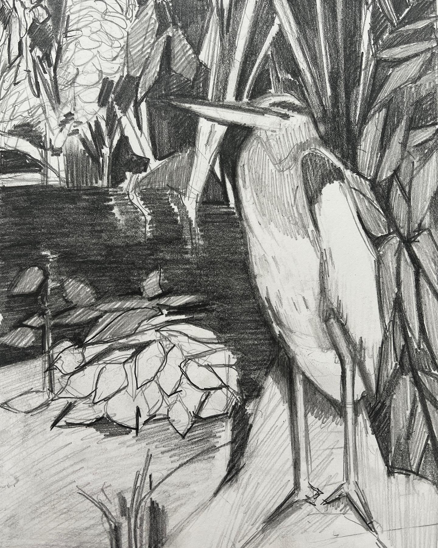 The egret #pencil #paper #drawing #laarts #laartist