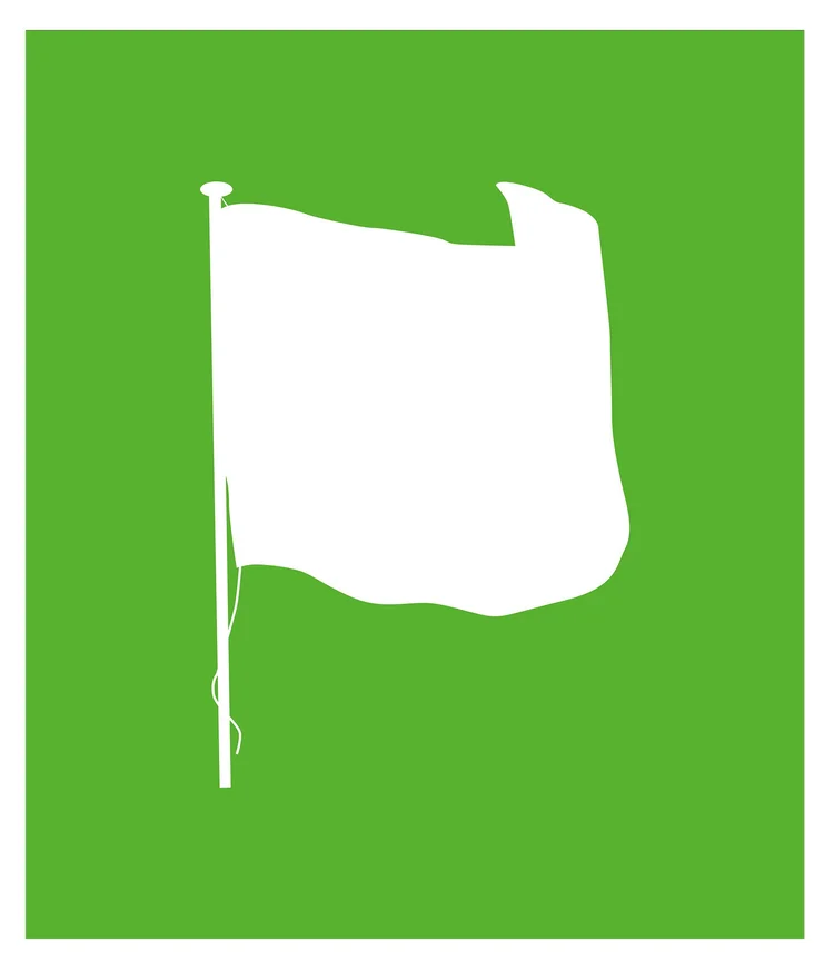 Rachel Libeskind, Flag 65
