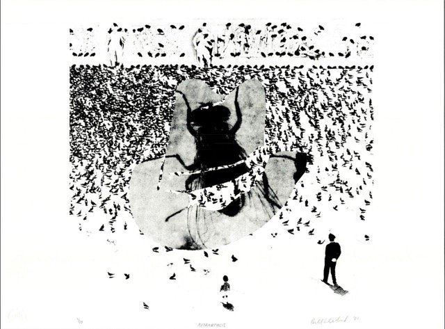 Rachel+Libeskind+-+Metamorphosis+-+2021+BW Medium.jpeg