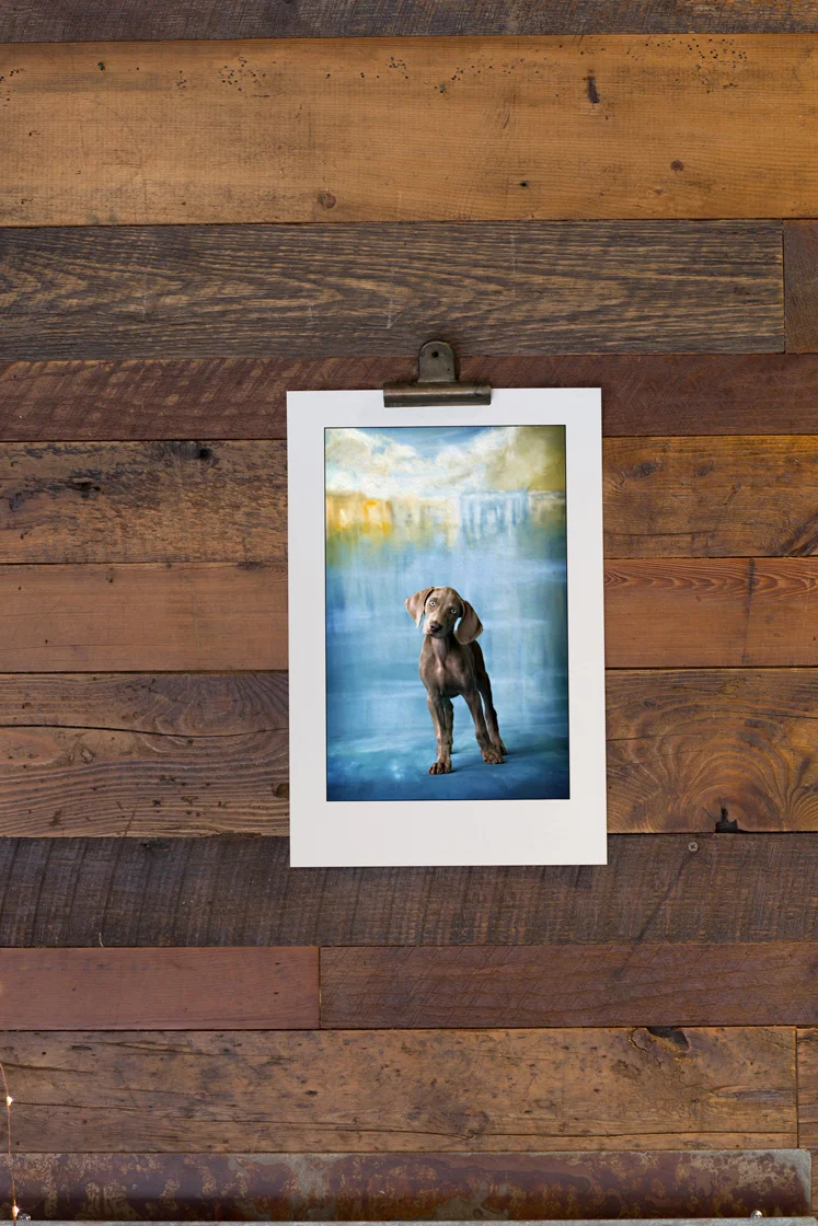 V Gallery Styled Image Template 001.jpg