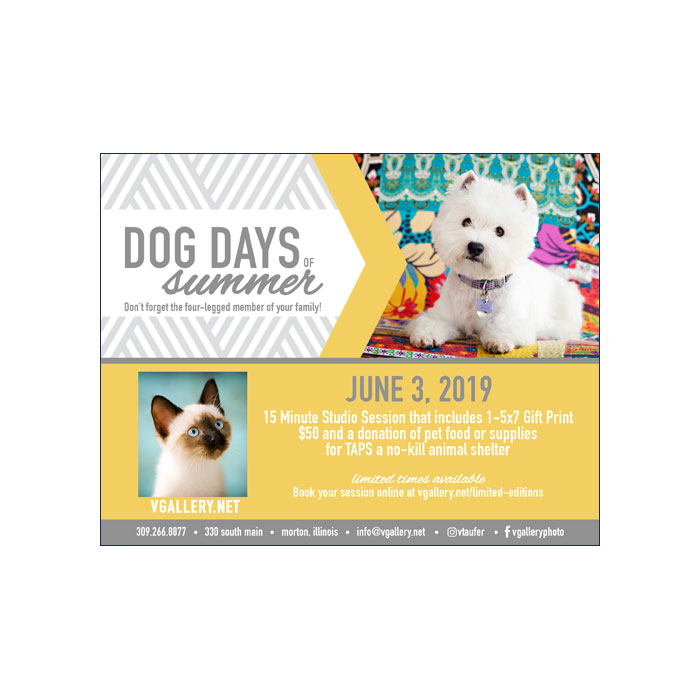 Dog-Days-of-Summer-Email.jpg