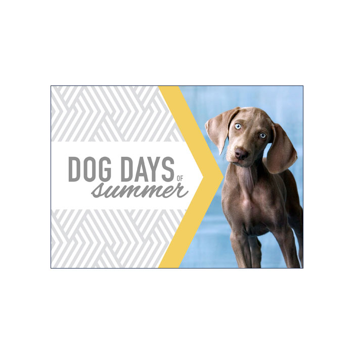 Dog-Days-of-Summer-Price-List-Front.jpg