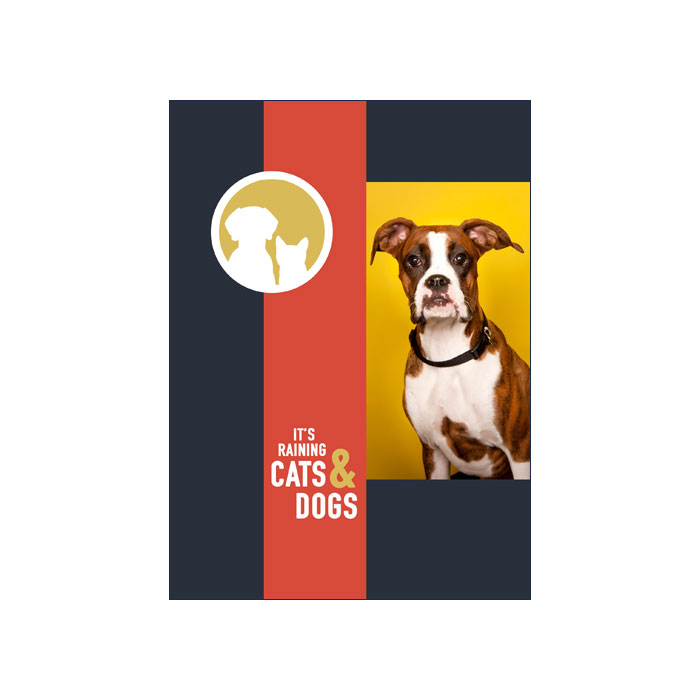 Raining-Cats-&-Dogs-Price-List-Front.jpg
